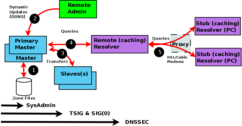Archivo:Fluxos DNS.png