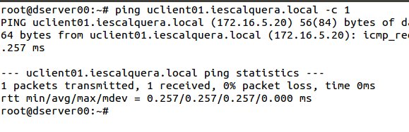 Archivo:Dl 2014 dns 30.jpeg