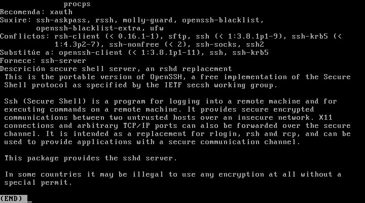 Archivo:Platega U910 Server ssh 05.jpeg