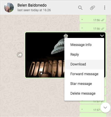 Archivo:PialeDownloadImage1.png