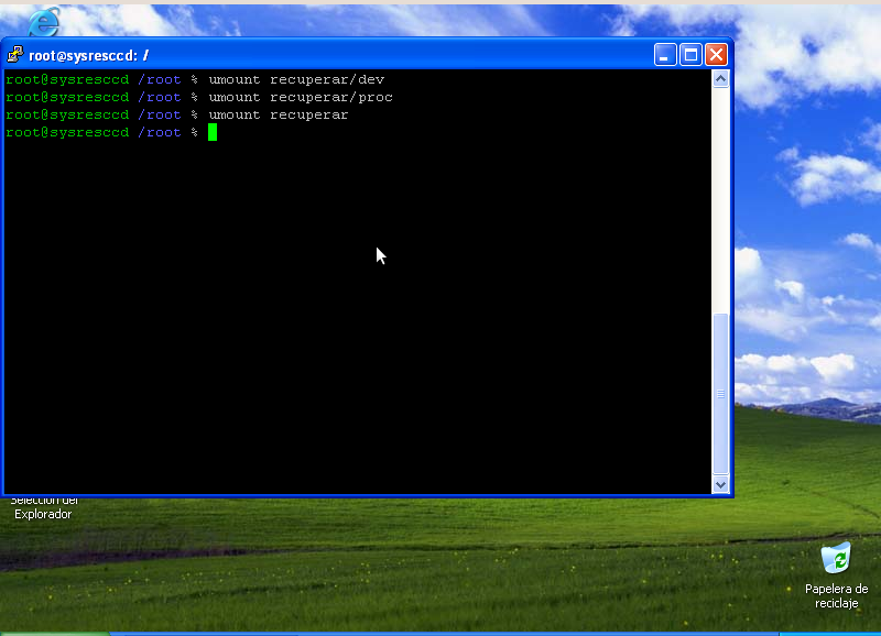 Archivo:Chroot 8.png