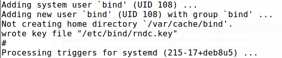 Archivo:Dl 2014 dns 02.jpeg