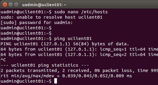 Archivo:Dl 2014 ubuntu inst 86.jpeg