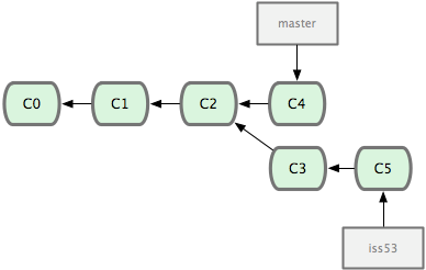 Archivo:Branch-iss53.png