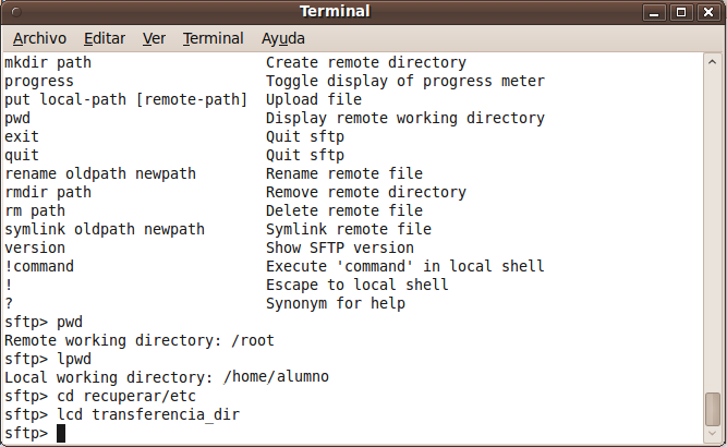 Archivo:Imaxe8 sftp.png