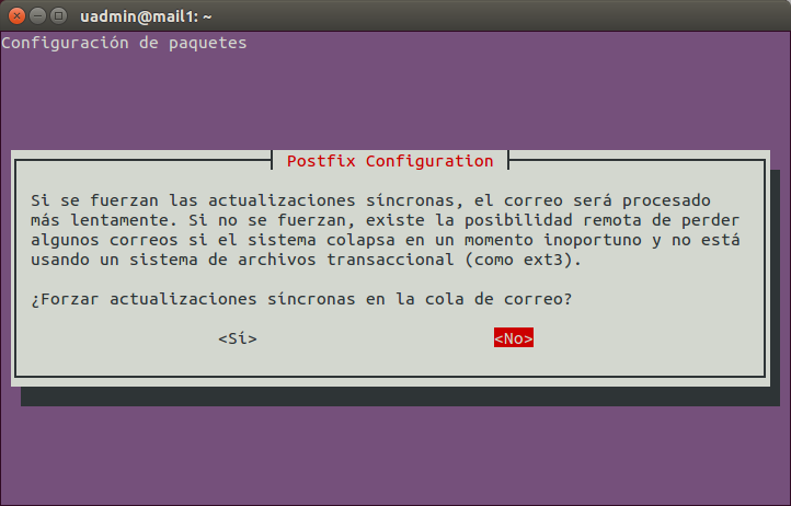 Archivo:Postfix instalacion actualizacións sincronas.png