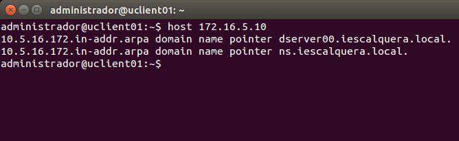 Archivo:Dl 2014 dns 40.jpeg