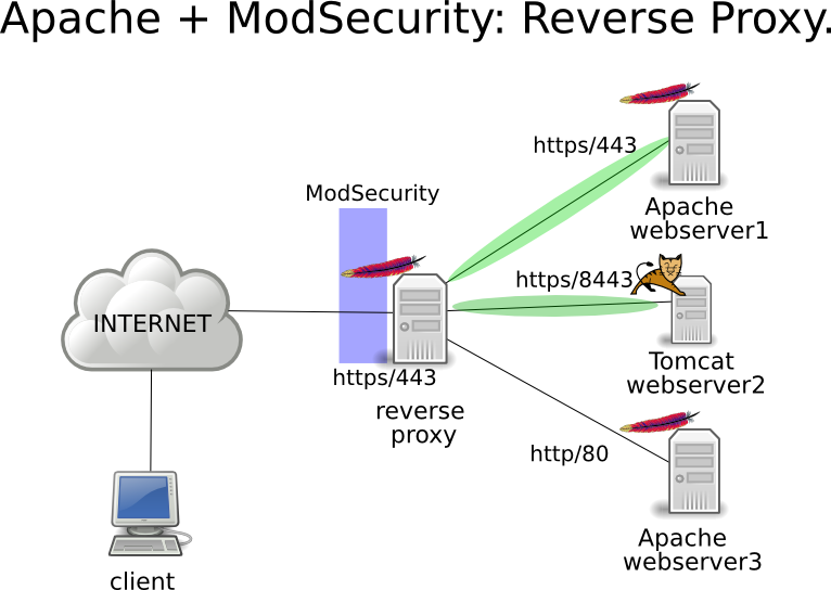 Archivo:Reverse proxy.png