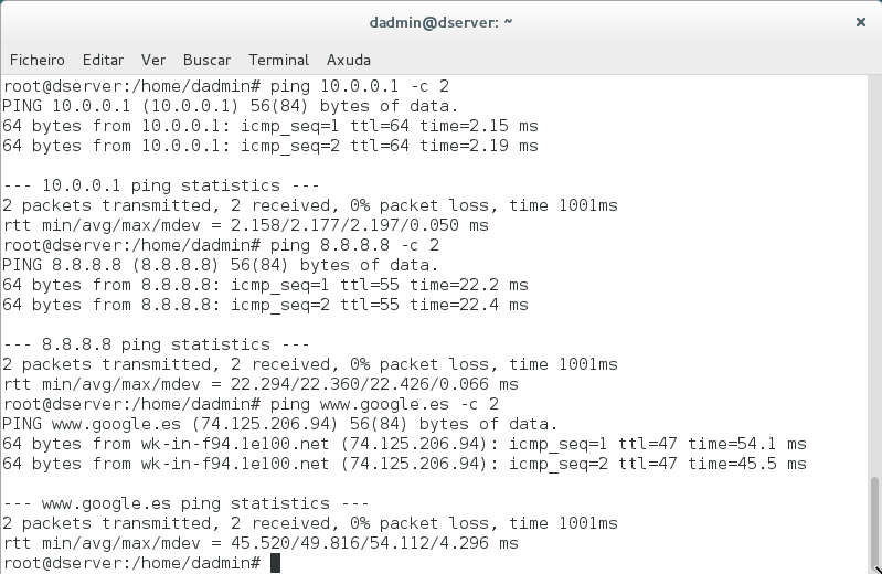 Archivo:Rede debian 10.png