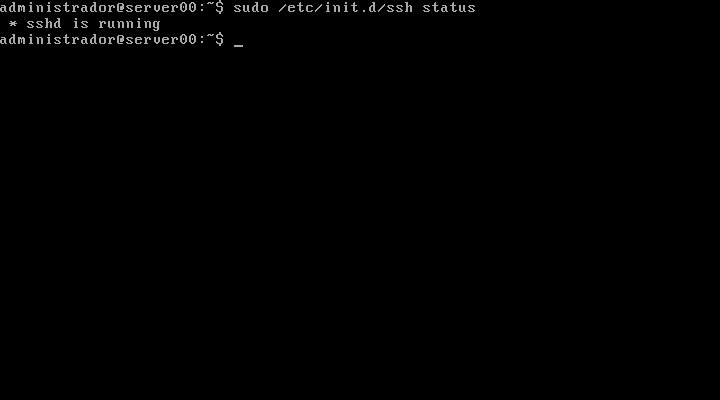Archivo:Platega U910 Server ssh 08.jpeg