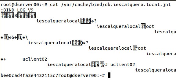 Archivo:Dl 2014 ddns 15.jpeg