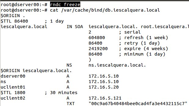 Archivo:Dl 2014 ddns 16.jpeg