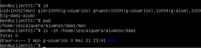 Archivo:Problema pam mount 01.png