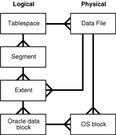 Archivo:AlmFisicoELoxicoOracle.gif