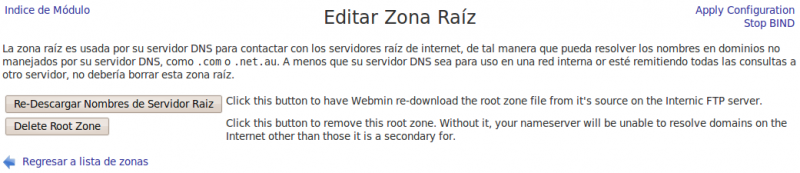 Platega U910 Server Configuracion Webmin Servidor DNS6.png