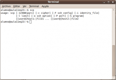 Abrir un novo terminal para facer a copia mediante scp
